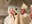 Omelia di S.E. Mons. Giuseppe Satriano nella Solenne Celebrazione Eucaristica per il prelievo della Manna presso la Basilica di San Nicola. Bari, 9 maggio 2023