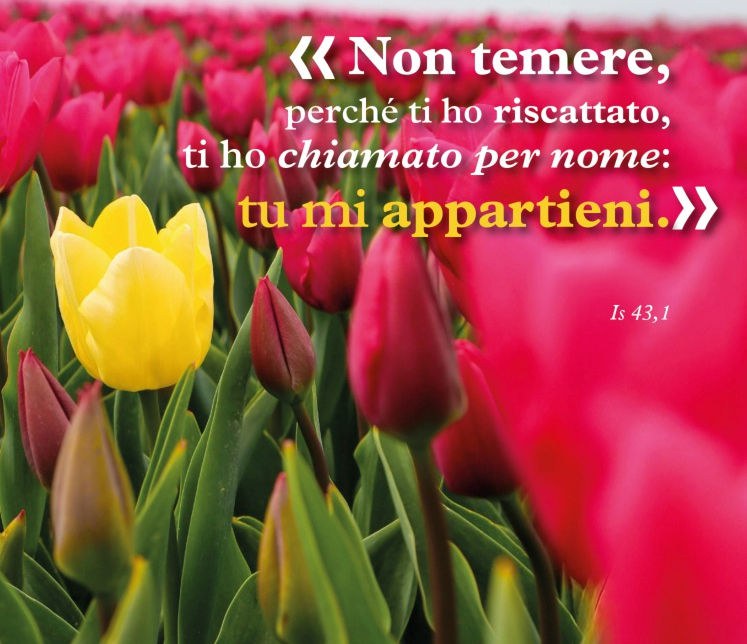 “Non temere, perché ti ho riscattato, ti ho chiamato per nome: tu mi appartieni” (Isaia 43,1)
