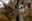 Omelia di S.E. Mons. Giuseppe Satriano, Arcivescovo di Bari-Bitonto, nella Festa della Traslazione delle Reliquie di San Nicola. Bari, Basilica di San Nicola, domenica, 9 maggio 2021