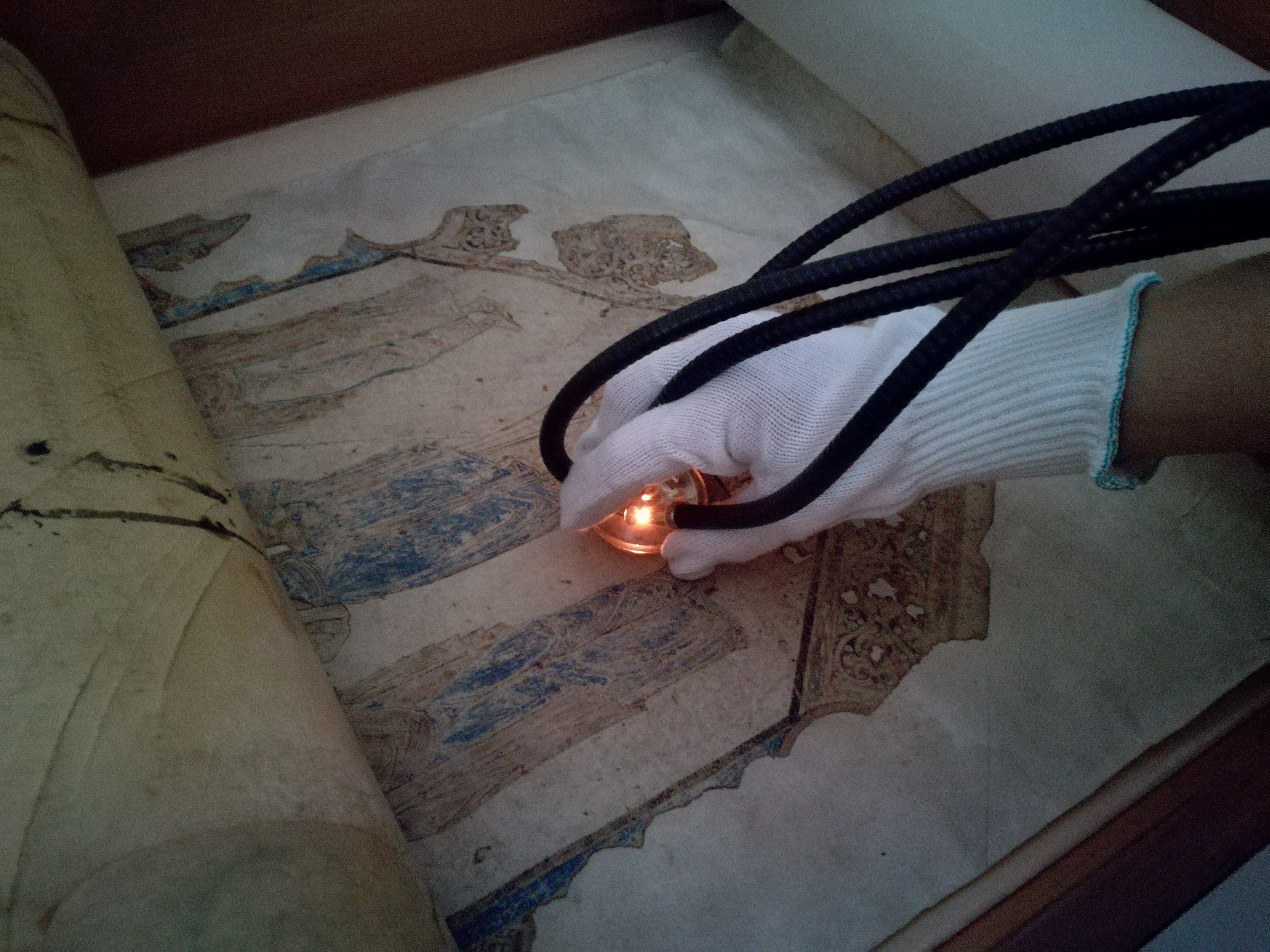 analisi dei pigmenti mediante l'uso della Spettroscopia di riflettanza Fors.jpg