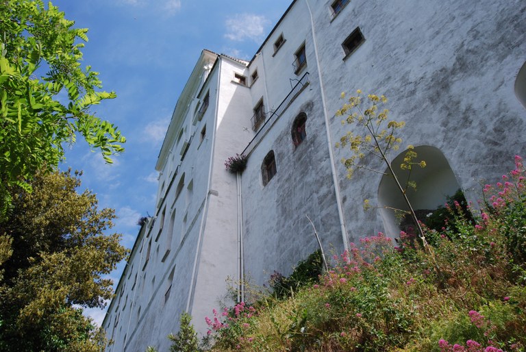 DSC_0500 (Copia di NXPowerLite).JPG