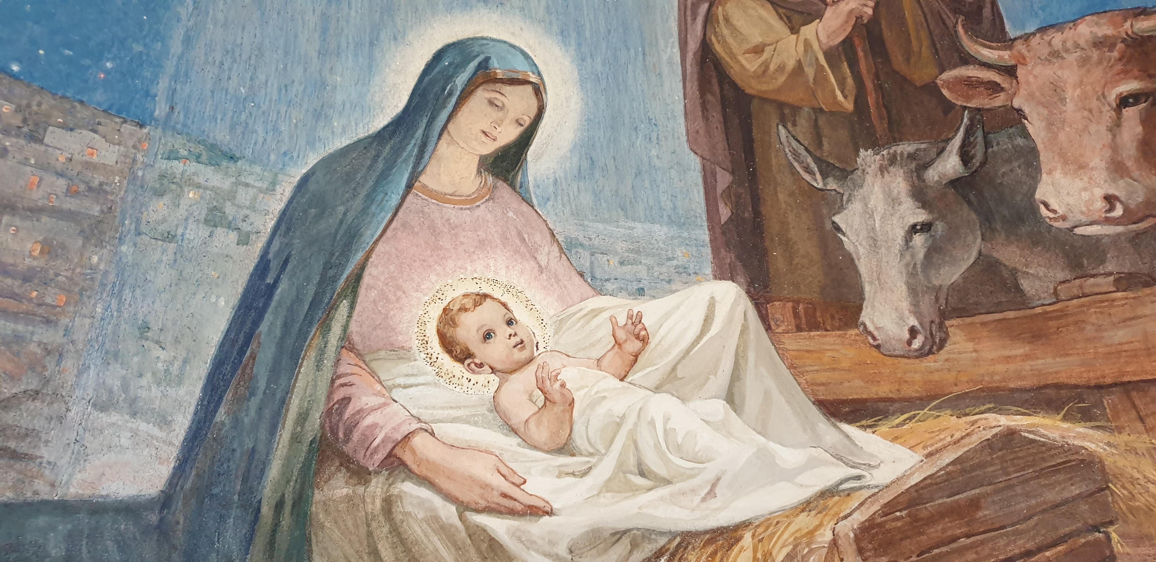 20190726_103828 (Copia di NXPowerLite).jpg