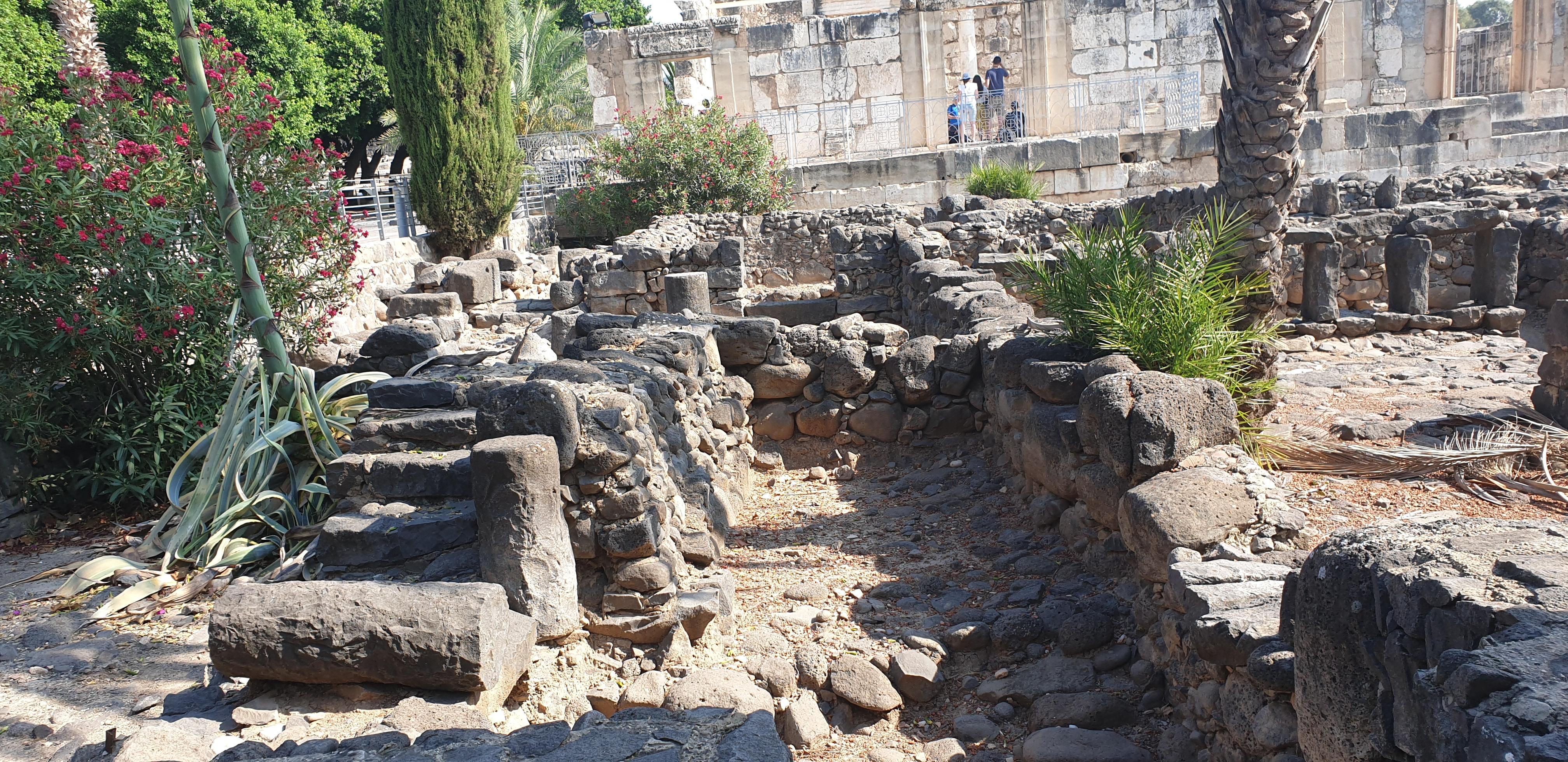 20190728_091127 (Copia di NXPowerLite).jpg