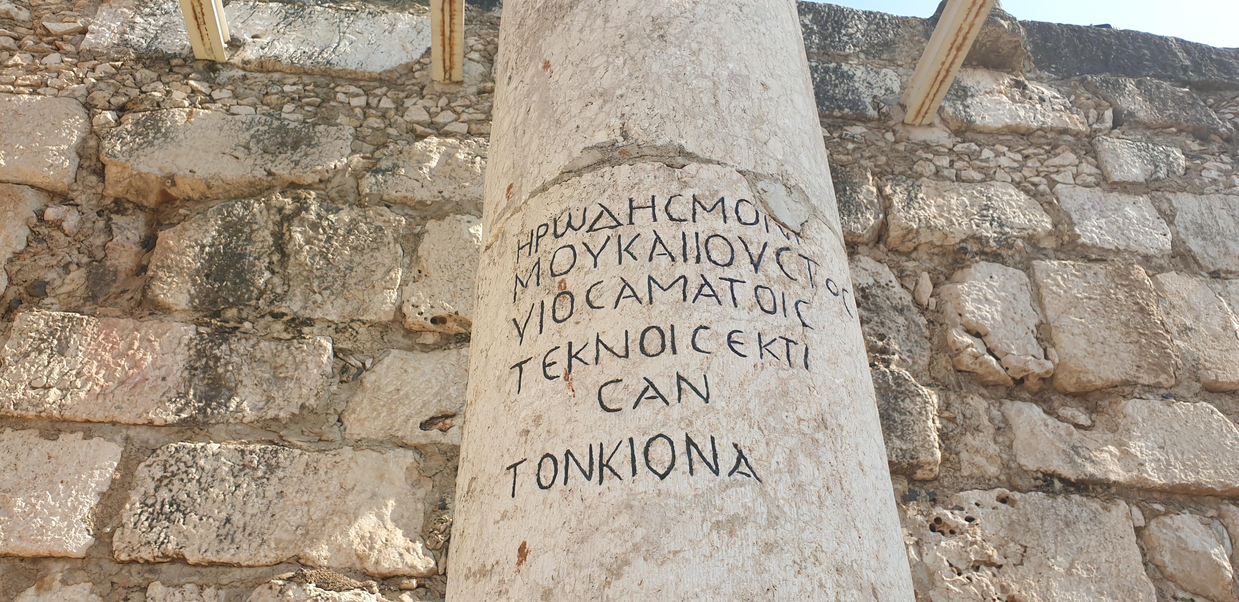 20190728_091910 (Copia di NXPowerLite).jpg