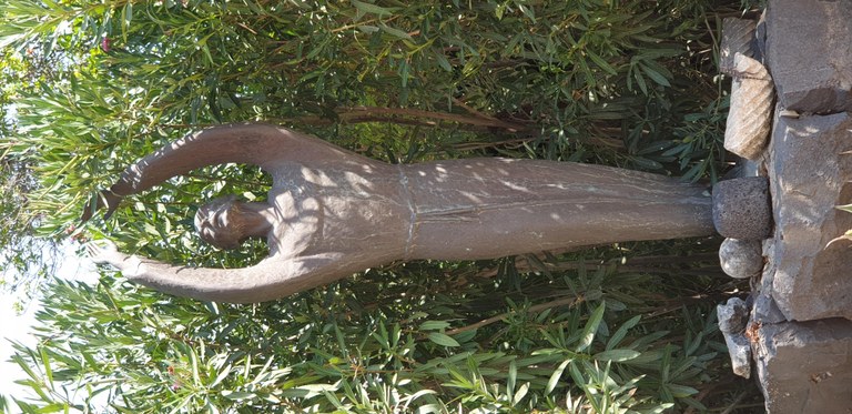 20190728_095822 (Copia di NXPowerLite).jpg