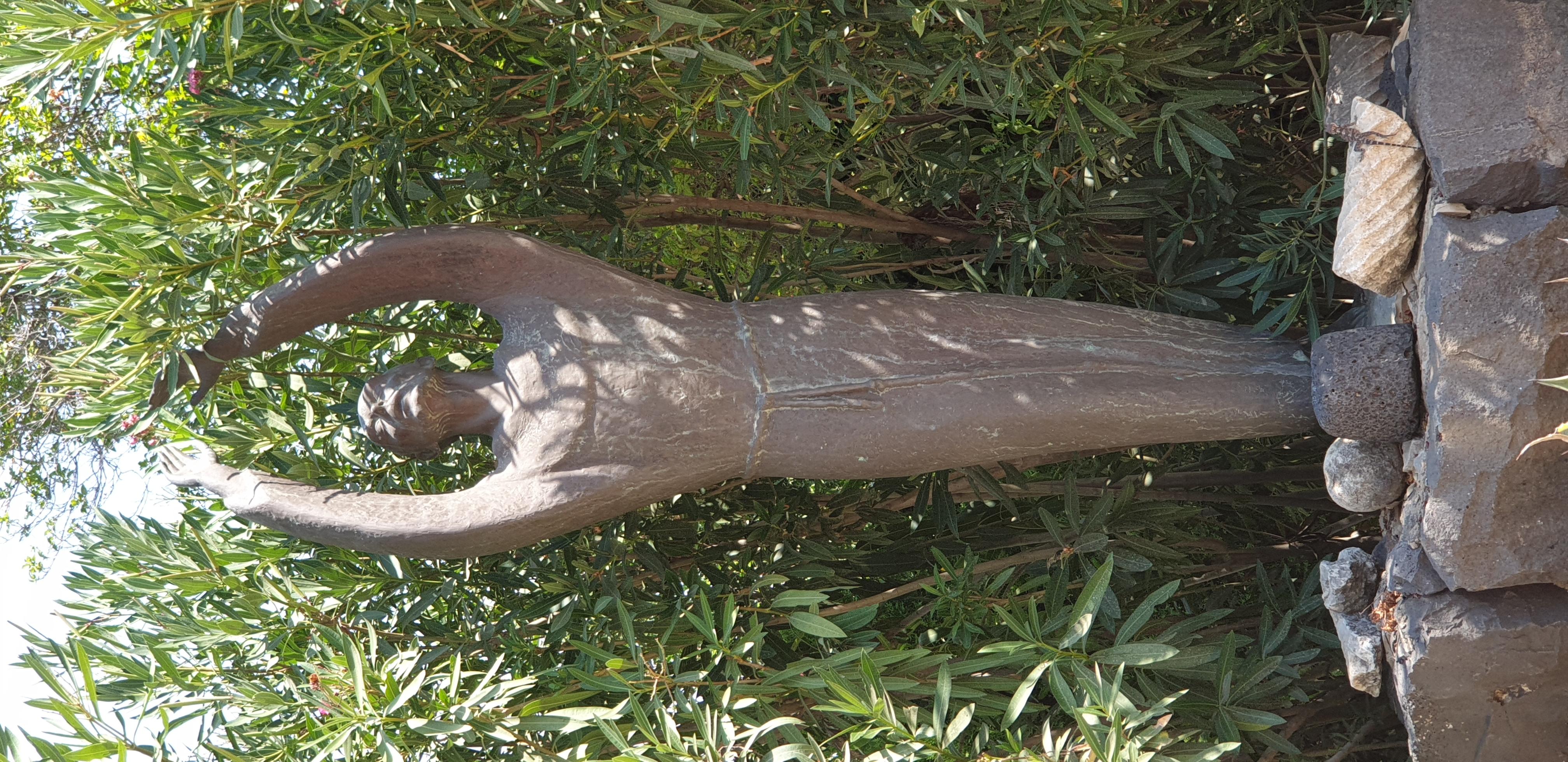 20190728_095822 (Copia di NXPowerLite).jpg