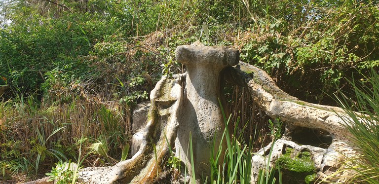 20190728_102400 (Copia di NXPowerLite).jpg