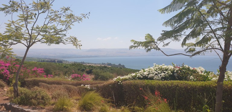 20190728_111212 (Copia di NXPowerLite).jpg