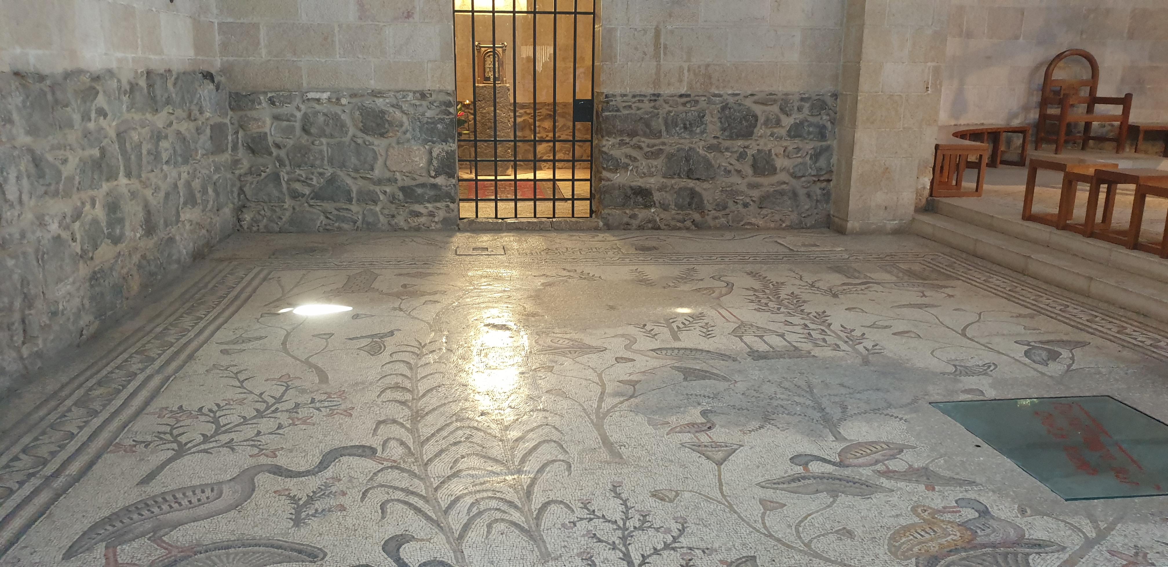 20190728_112830 (Copia di NXPowerLite).jpg