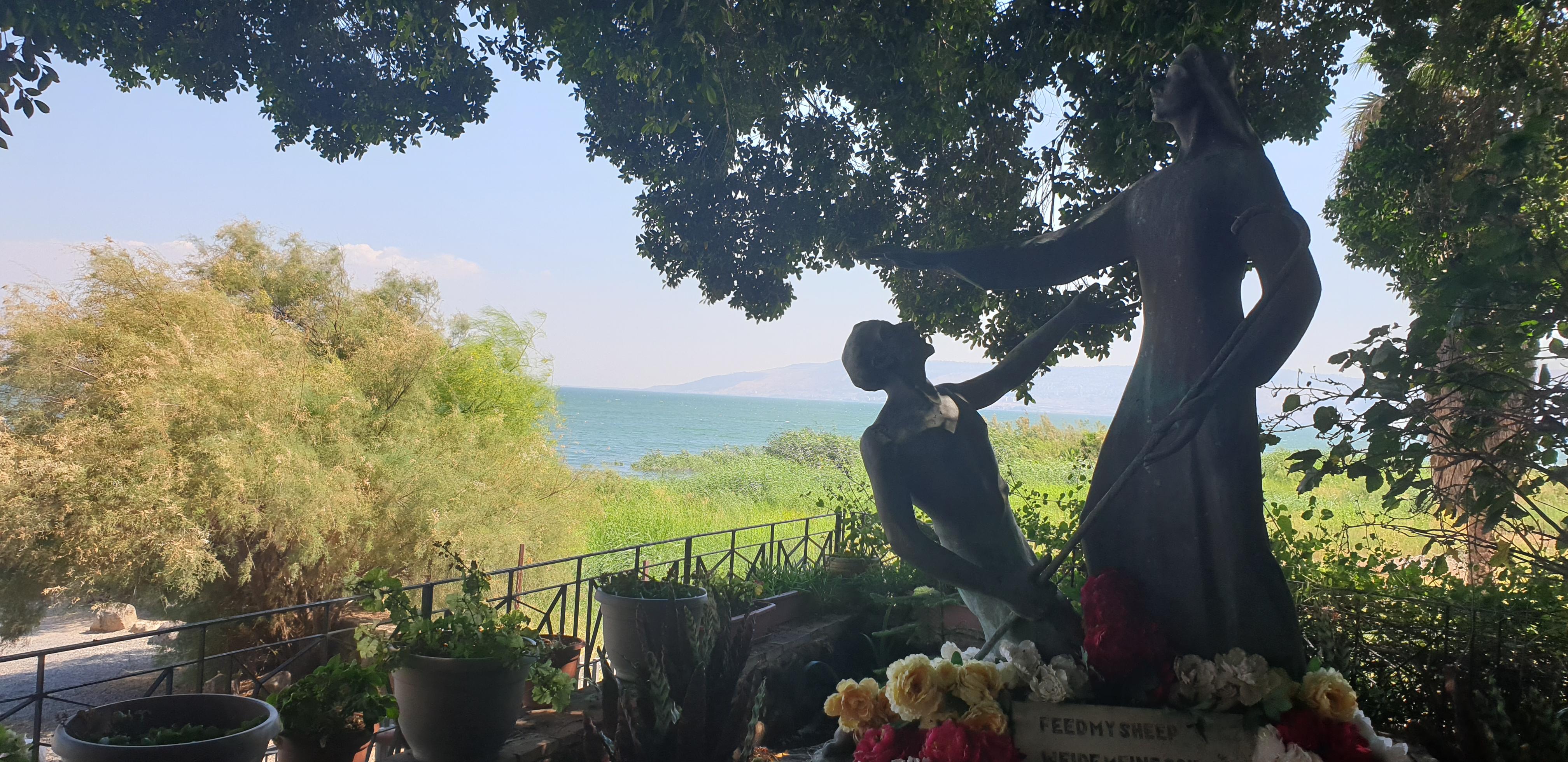 20190728_151237 (Copia di NXPowerLite).jpg