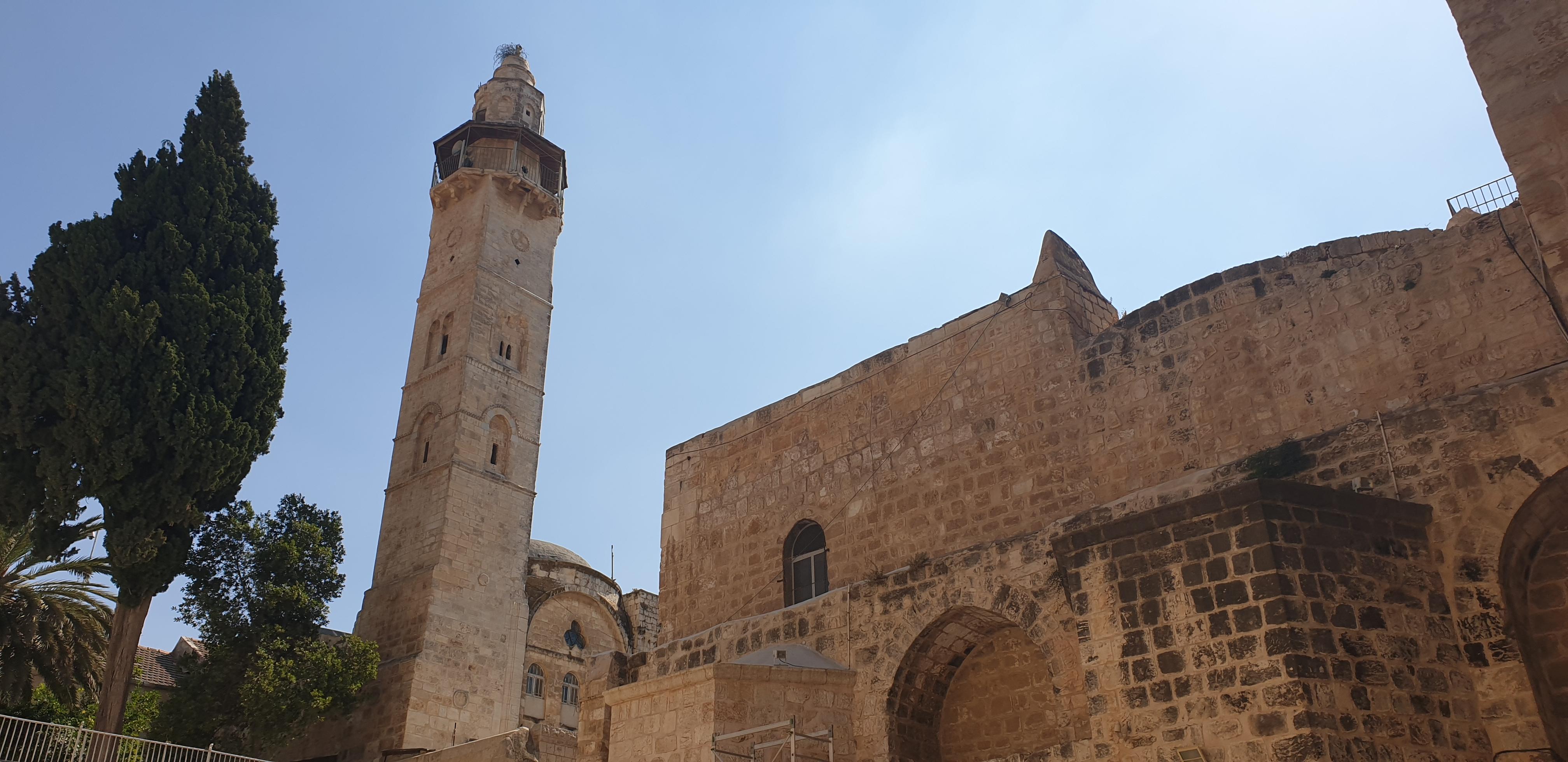 20190729_152728 (Copia di NXPowerLite).jpg