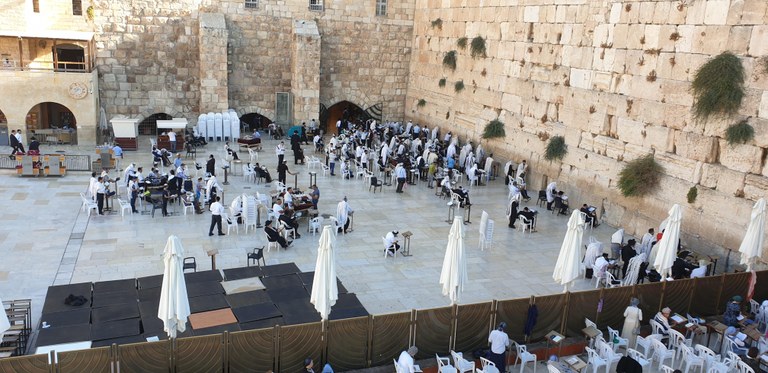 20190730_080354 (Copia di NXPowerLite).jpg