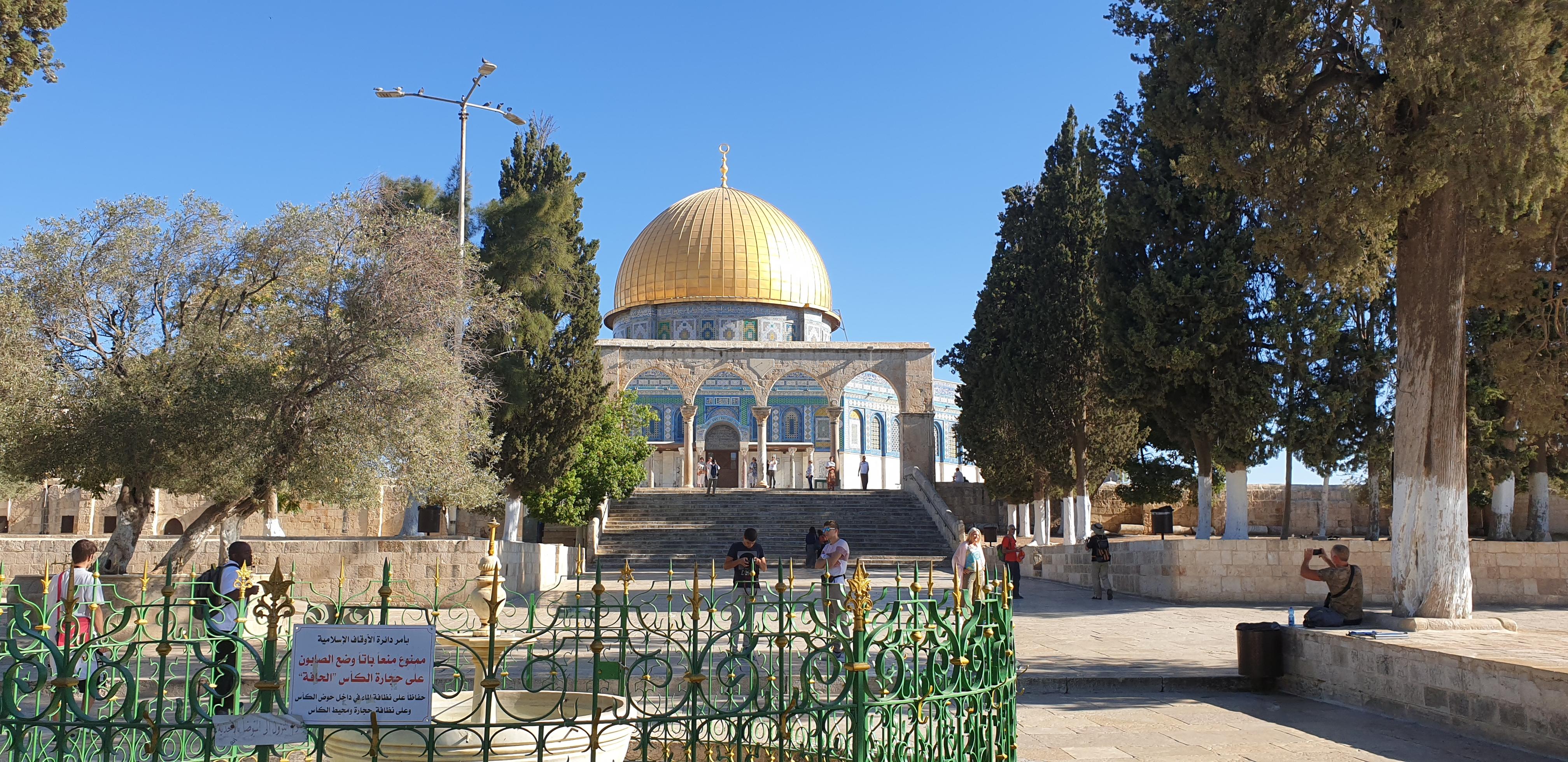 20190730_082702 (Copia di NXPowerLite).jpg