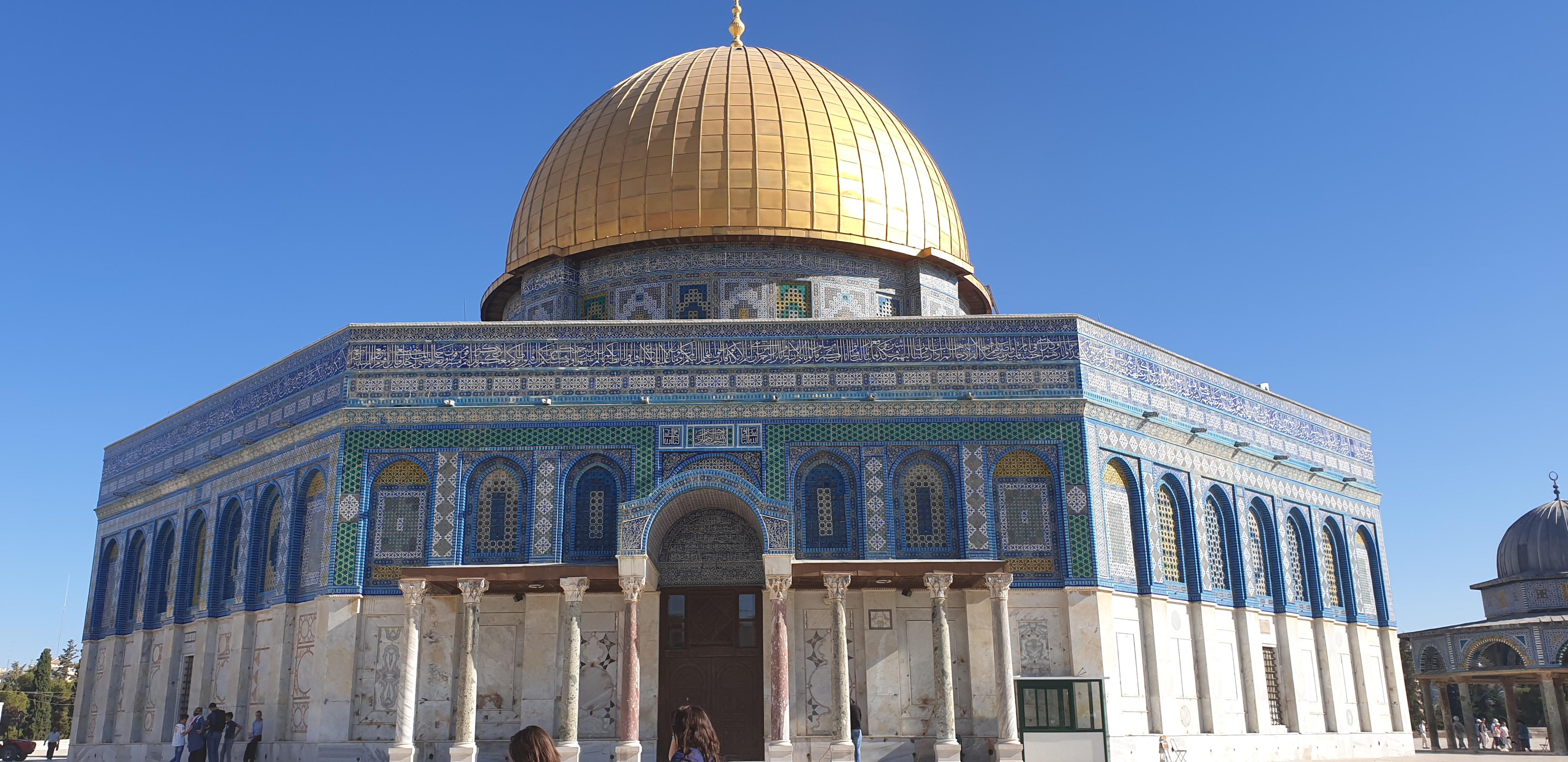 20190730_083130 (Copia di NXPowerLite).jpg