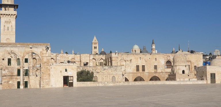 20190730_083156 (Copia di NXPowerLite).jpg