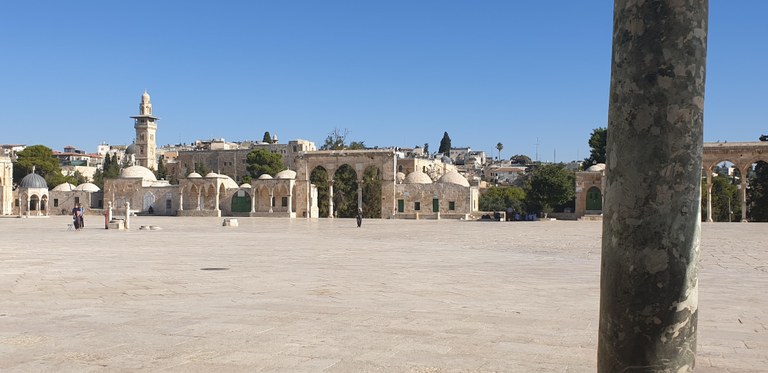 20190730_083348 (Copia di NXPowerLite).jpg