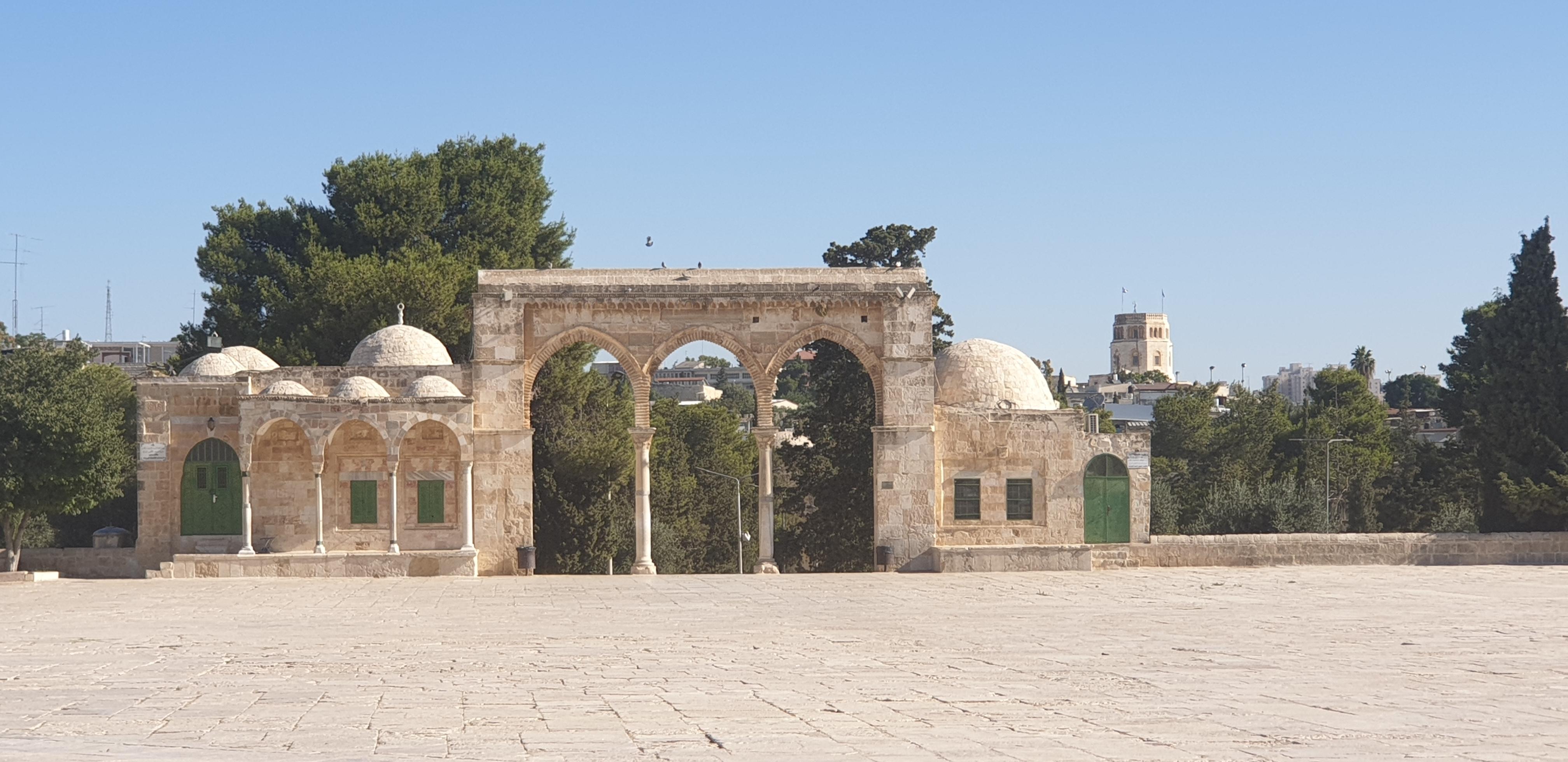 20190730_083358 (Copia di NXPowerLite).jpg