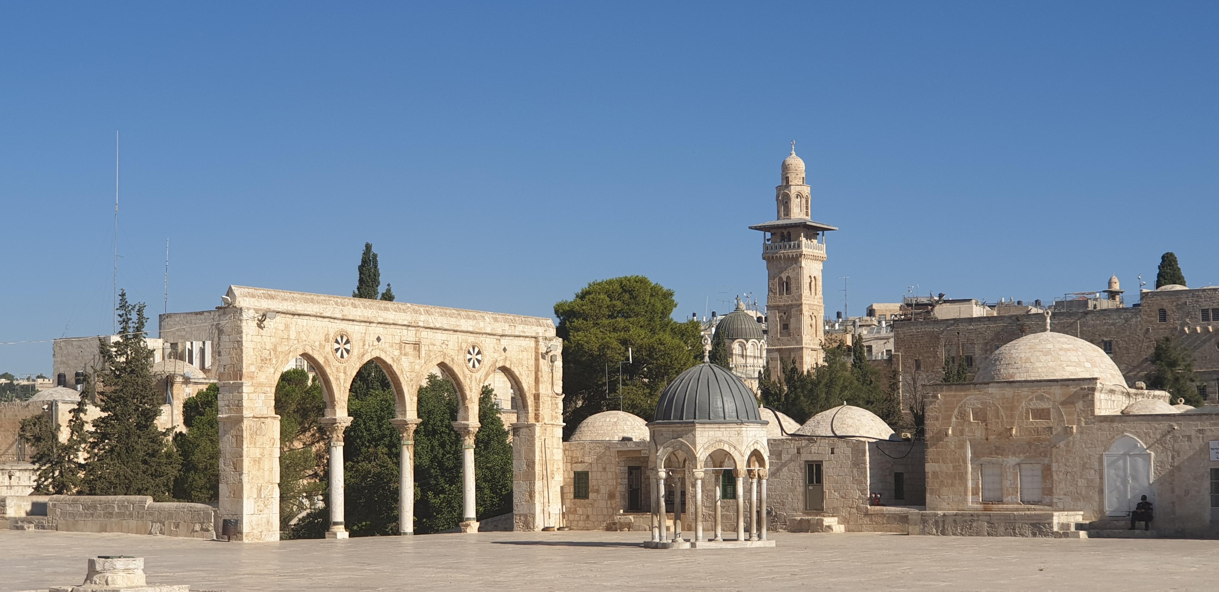 20190730_083725 (Copia di NXPowerLite).jpg