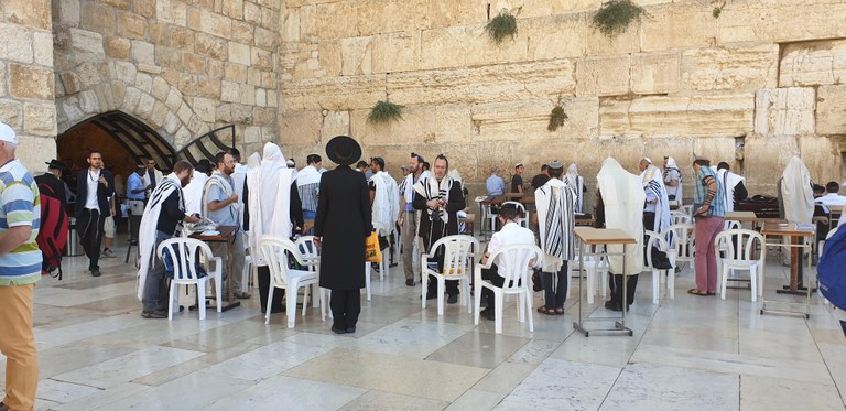 20190730_090429 (Copia di NXPowerLite).jpg