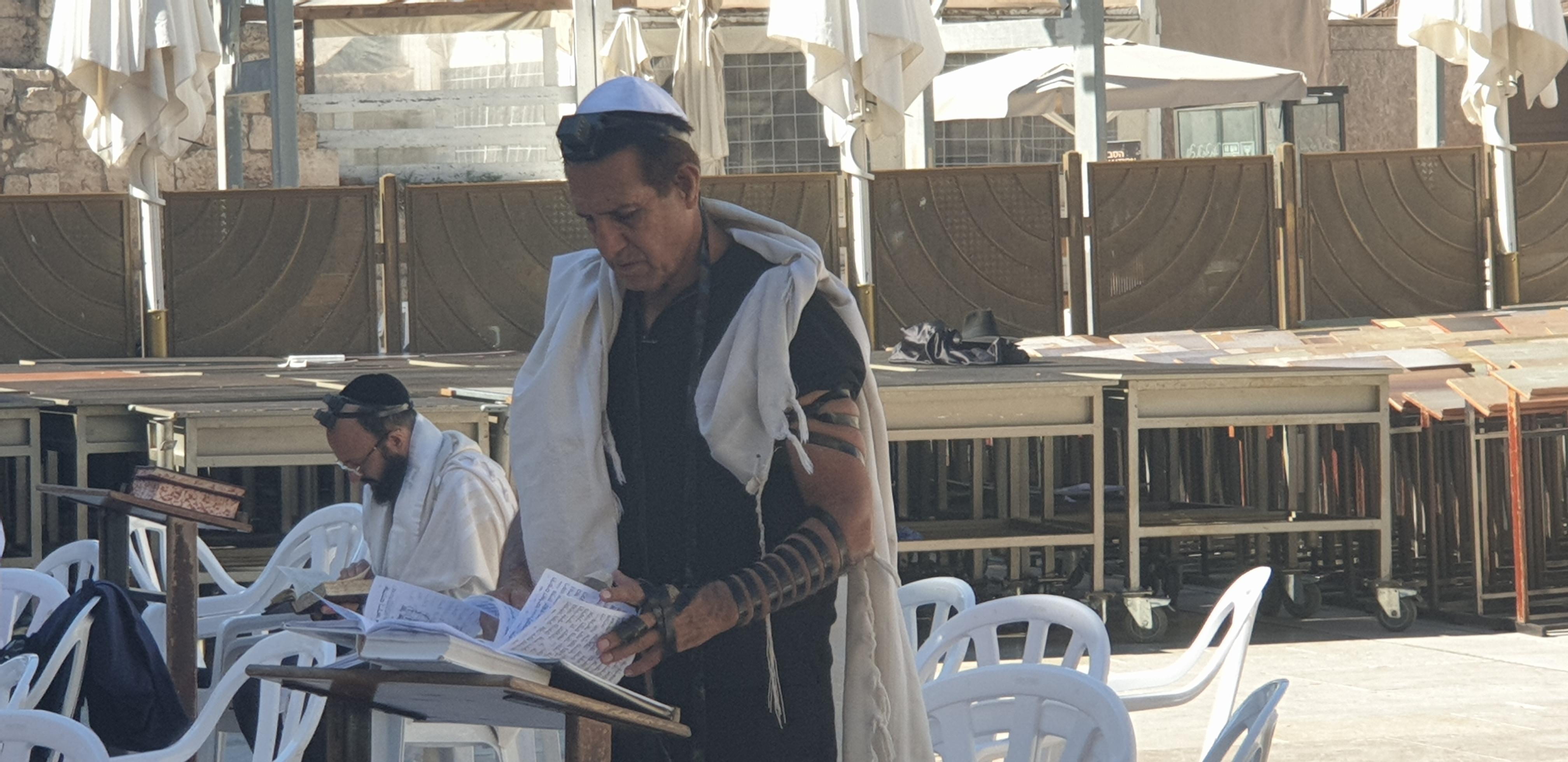 20190730_090522 (Copia di NXPowerLite).jpg