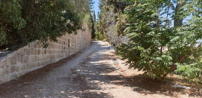 20190730_104931 (Copia di NXPowerLite).jpg