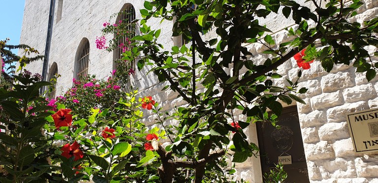 20190730_105045 (Copia di NXPowerLite).jpg