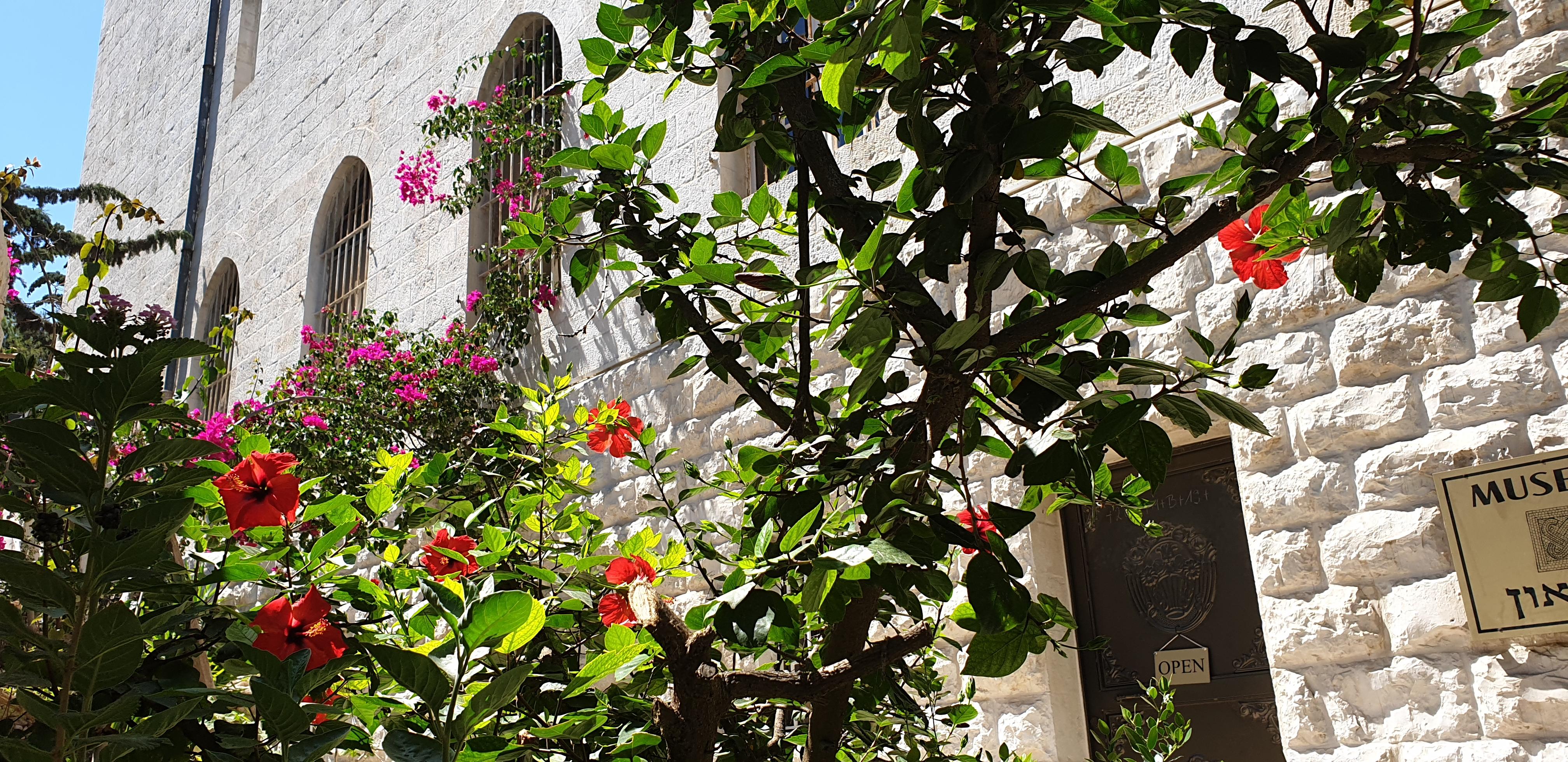 20190730_105045 (Copia di NXPowerLite).jpg