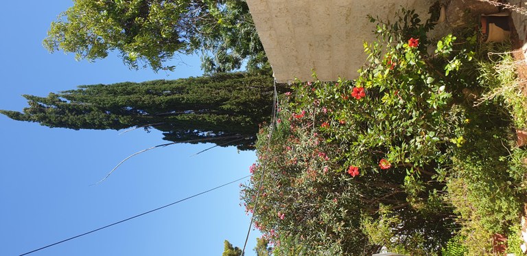 20190730_105113 (Copia di NXPowerLite).jpg