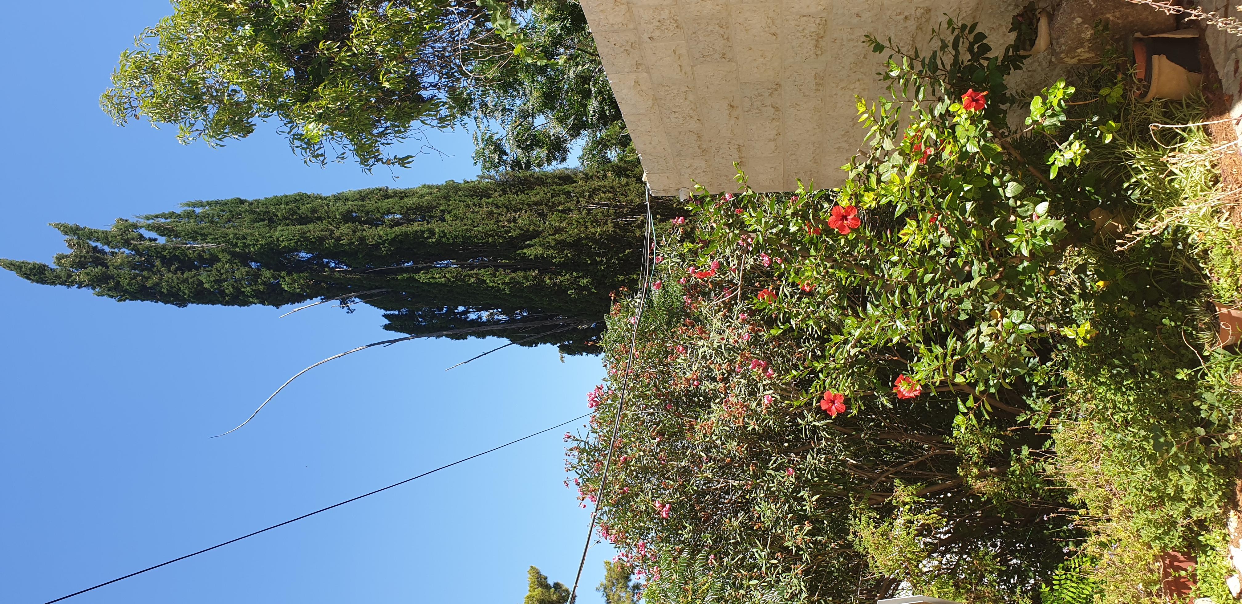 20190730_105113 (Copia di NXPowerLite).jpg