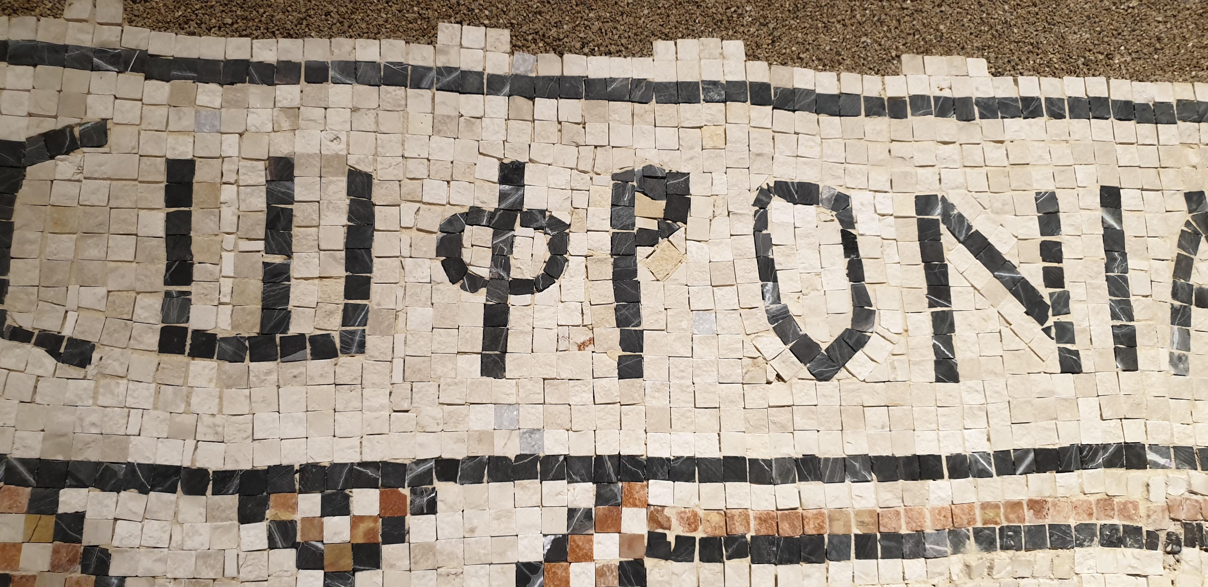 20190730_105222 (Copia di NXPowerLite).jpg