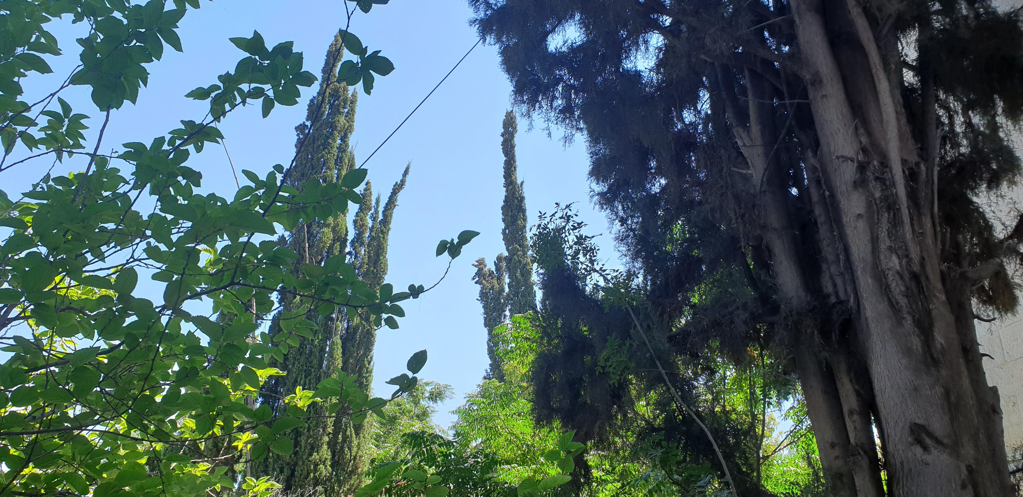 20190730_110155 (Copia di NXPowerLite).jpg