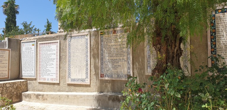 20190730_115314 (Copia di NXPowerLite).jpg