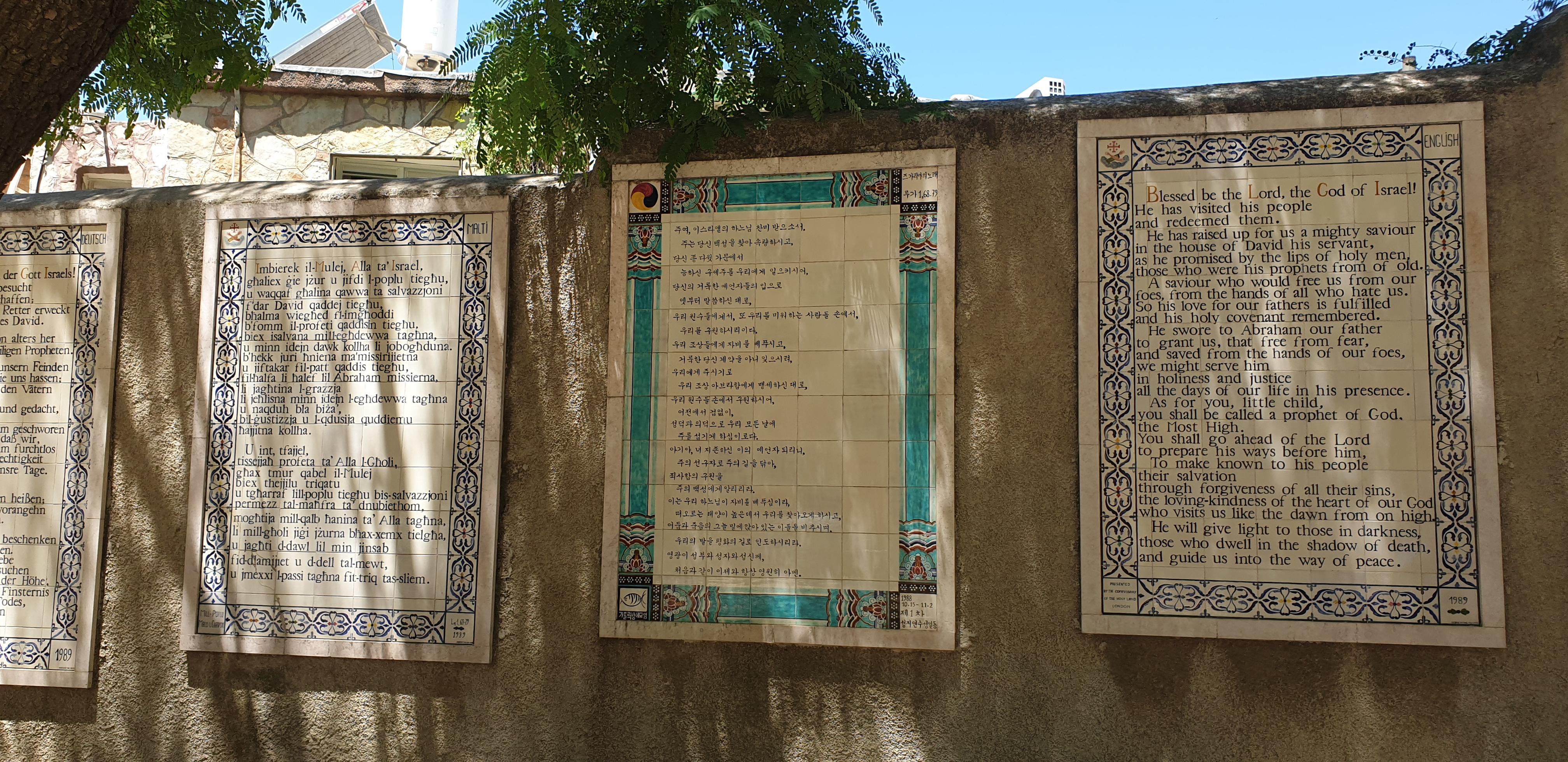 20190730_115346 (Copia di NXPowerLite).jpg