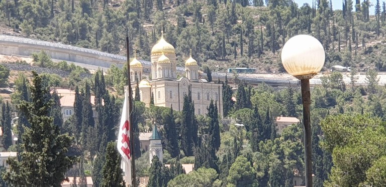 20190730_120041 (Copia di NXPowerLite).jpg