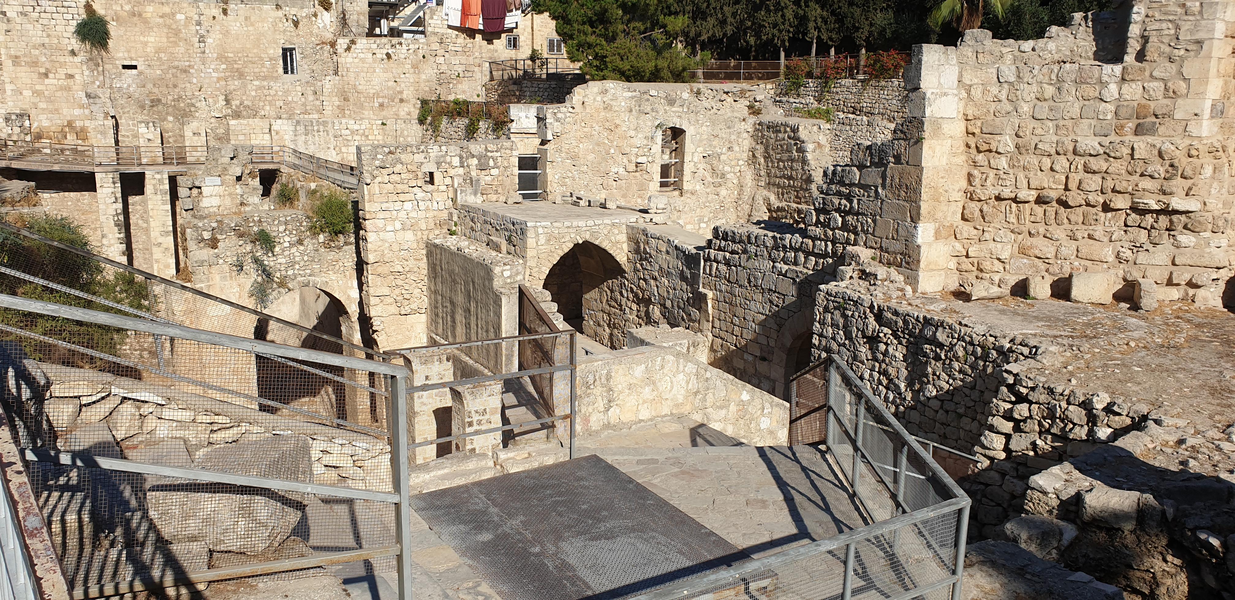 20190731_082130 (Copia di NXPowerLite).jpg