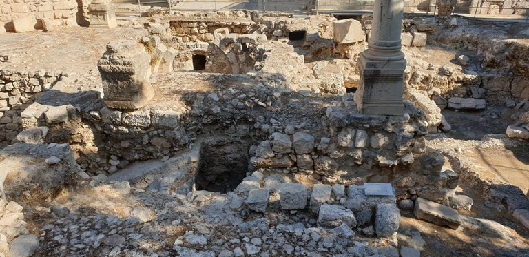 20190731_082134 (Copia di NXPowerLite).jpg