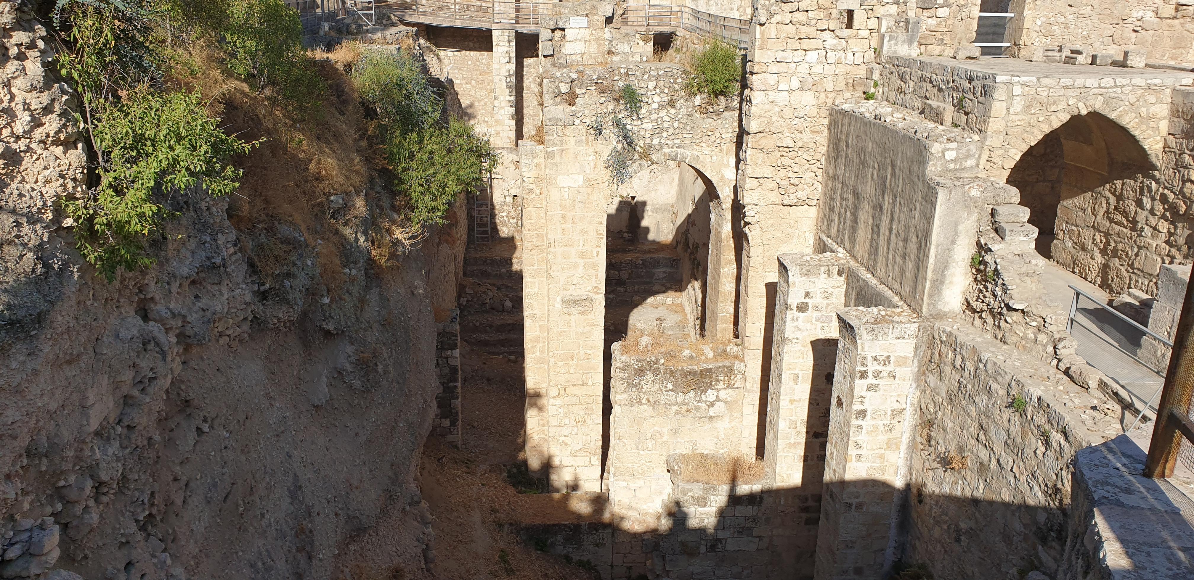 20190731_082411 (Copia di NXPowerLite).jpg