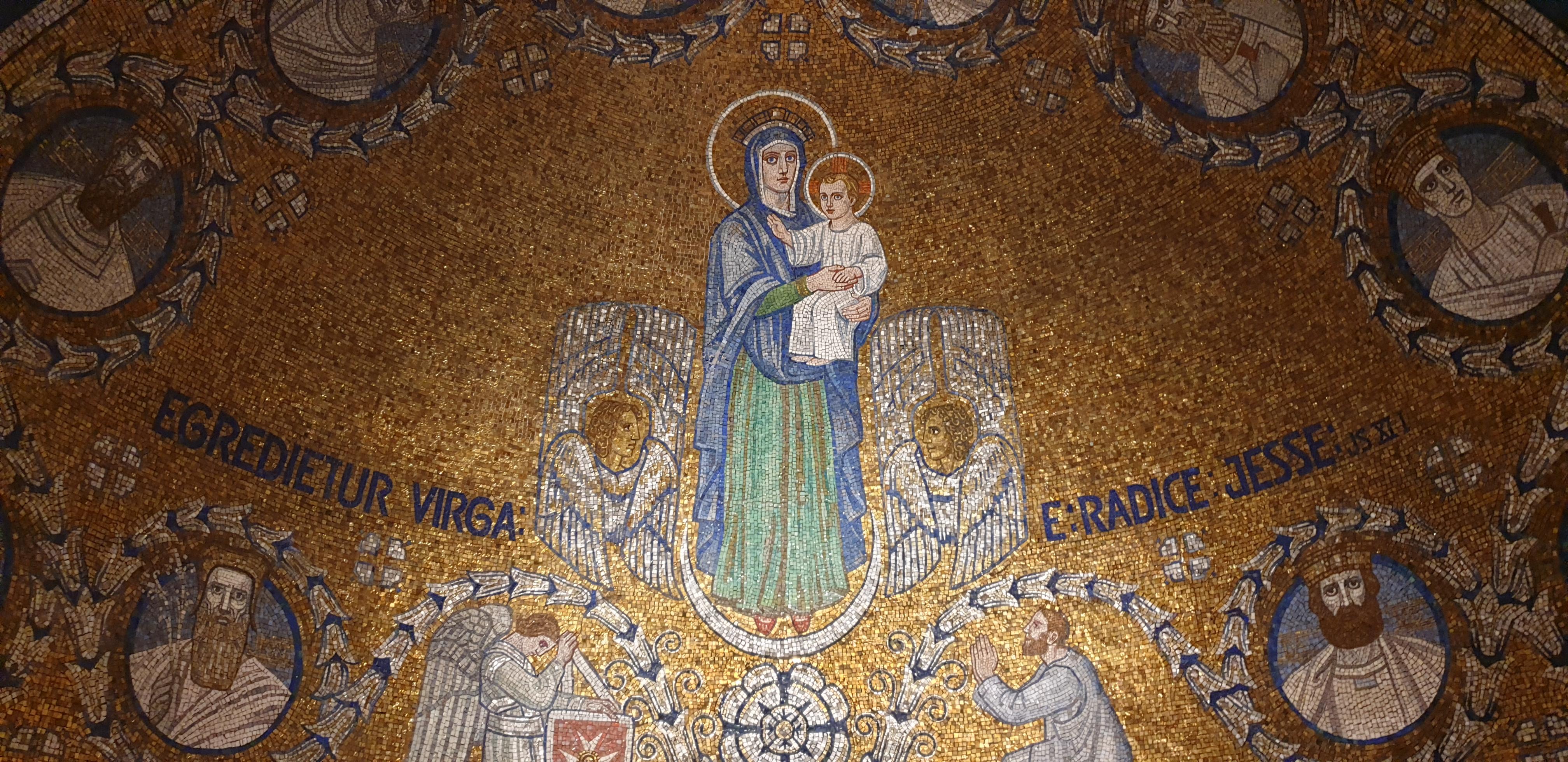 20190731_105336 (Copia di NXPowerLite).jpg