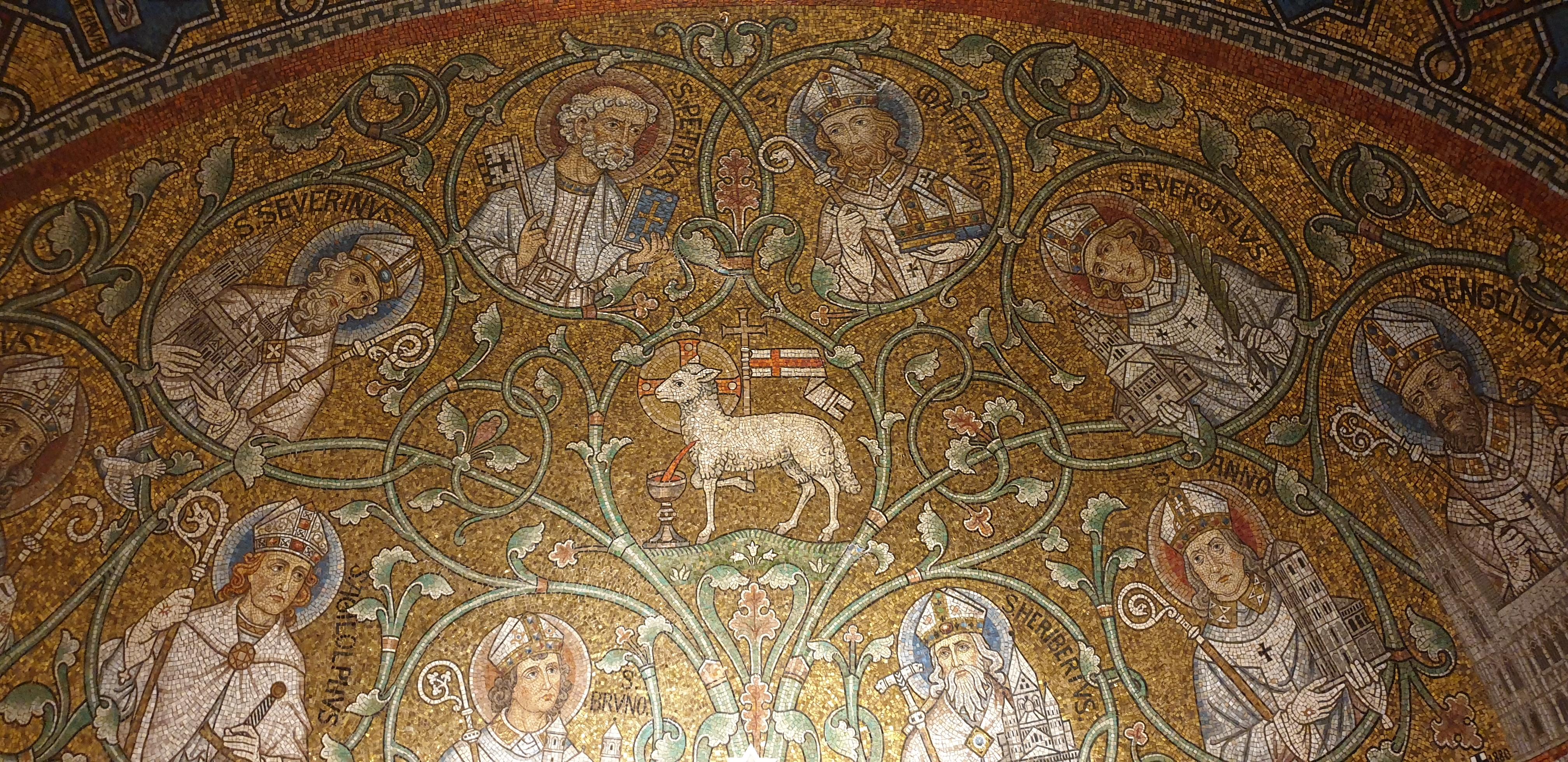 20190731_105413 (Copia di NXPowerLite).jpg