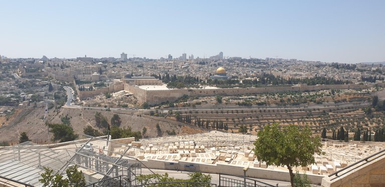 20190731_140742 (Copia di NXPowerLite).jpg