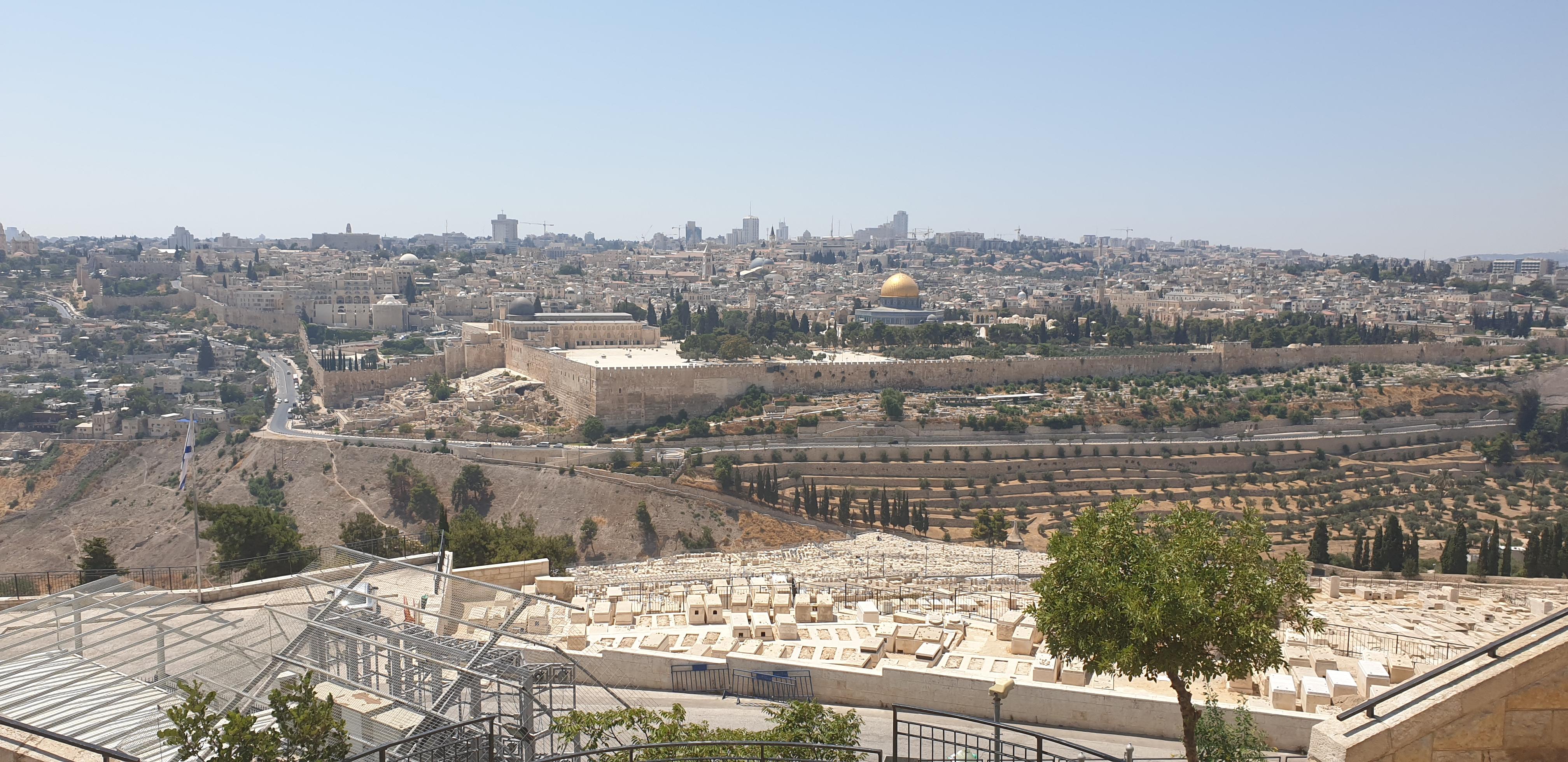 20190731_140742 (Copia di NXPowerLite).jpg