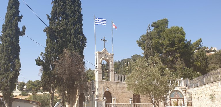 20190731_161110 (Copia di NXPowerLite).jpg