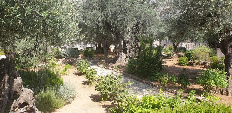 20190731_161610 (Copia di NXPowerLite).jpg