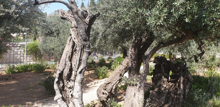 20190731_161617 (Copia di NXPowerLite).jpg