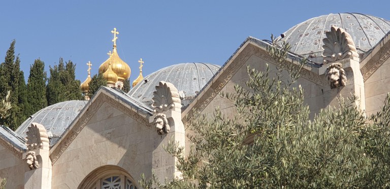 20190731_162512 (Copia di NXPowerLite).jpg