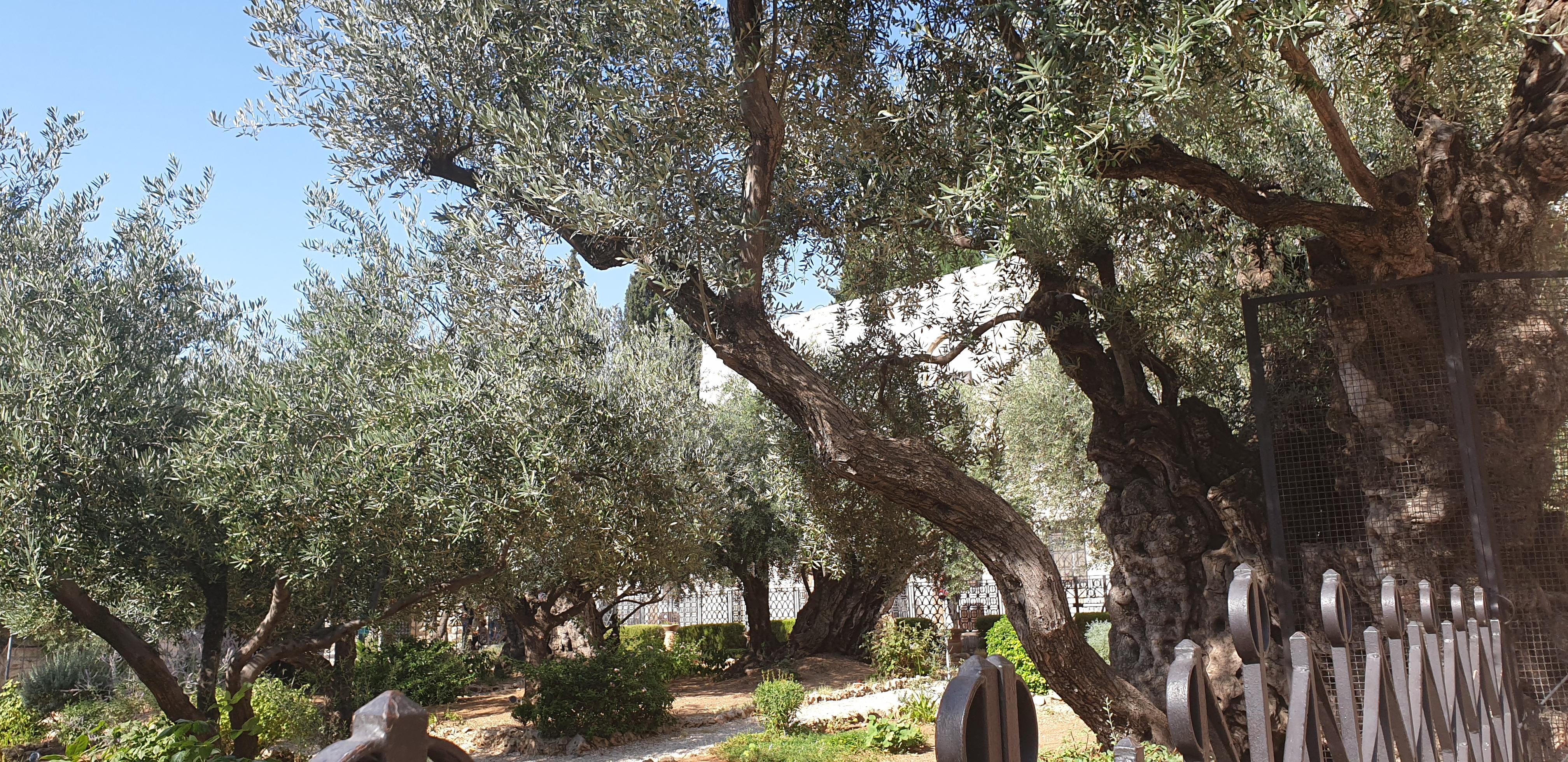 20190731_162640 (Copia di NXPowerLite).jpg