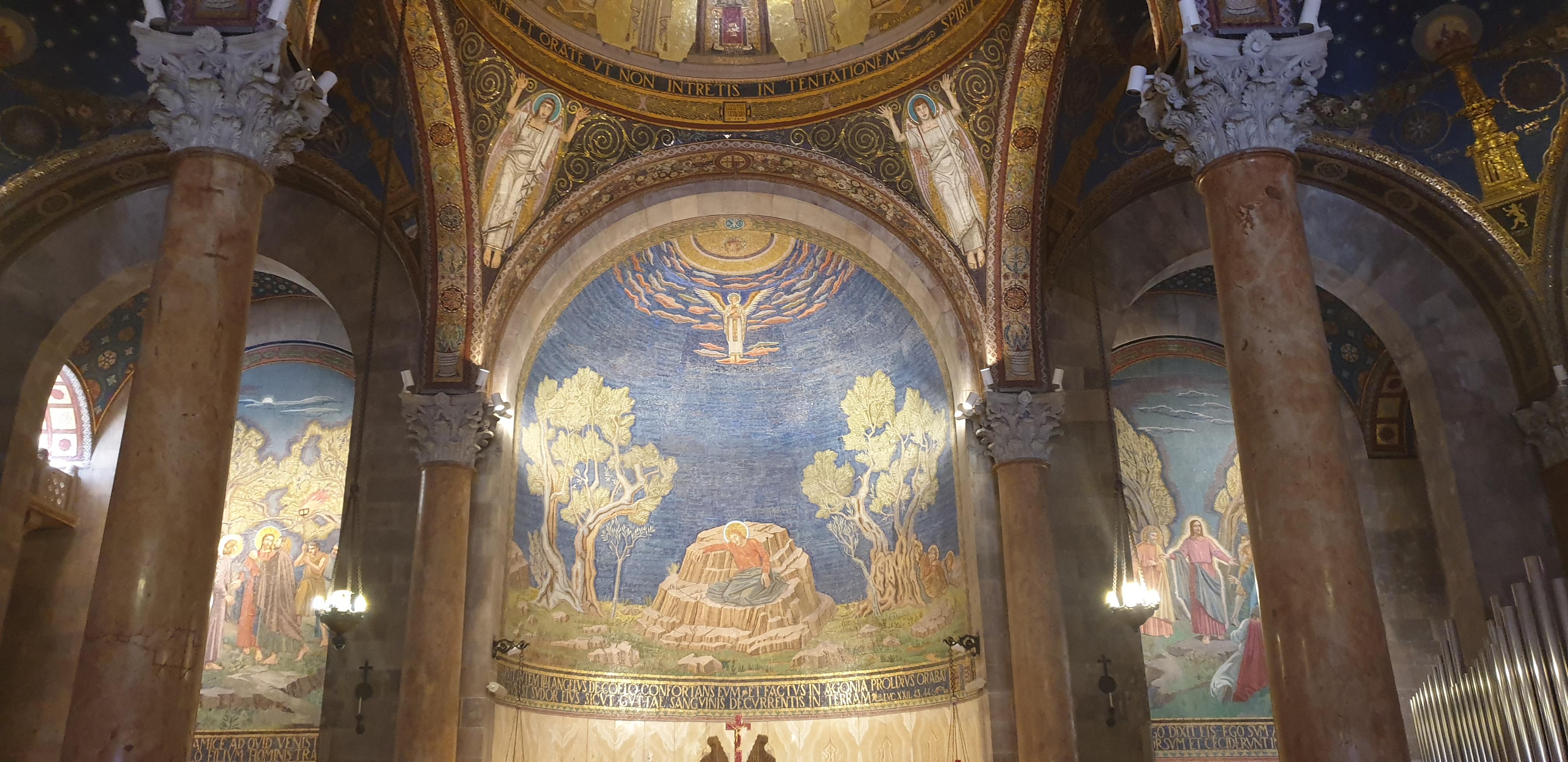 20190731_162821 (Copia di NXPowerLite).jpg