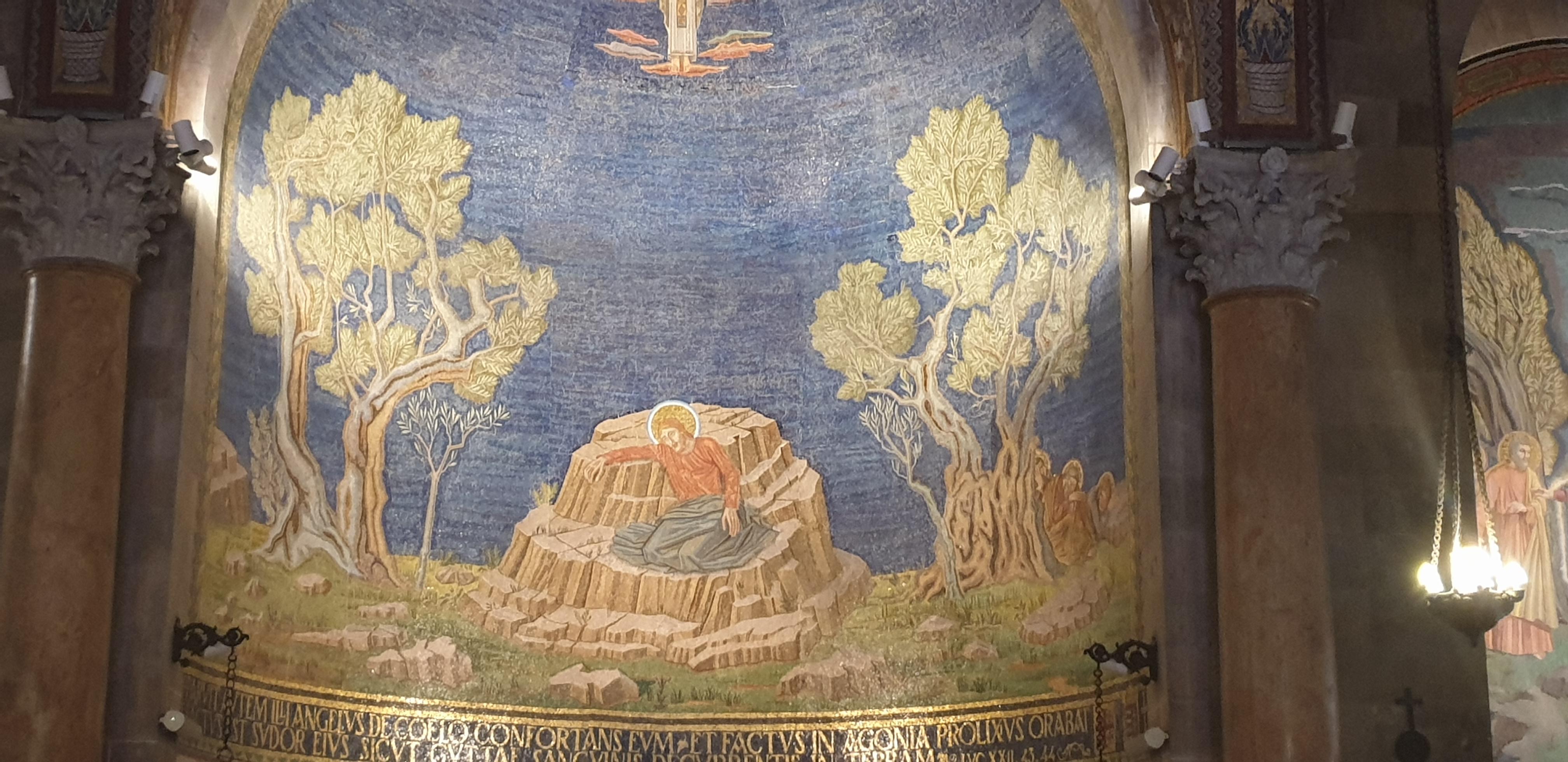 20190731_162827 (Copia di NXPowerLite).jpg