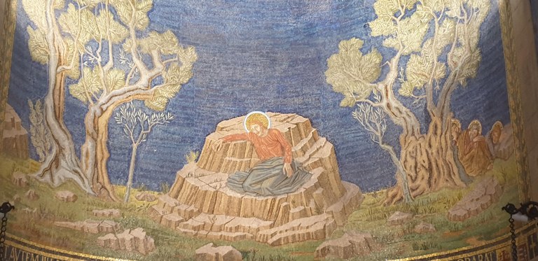 20190731_162844 (Copia di NXPowerLite).jpg