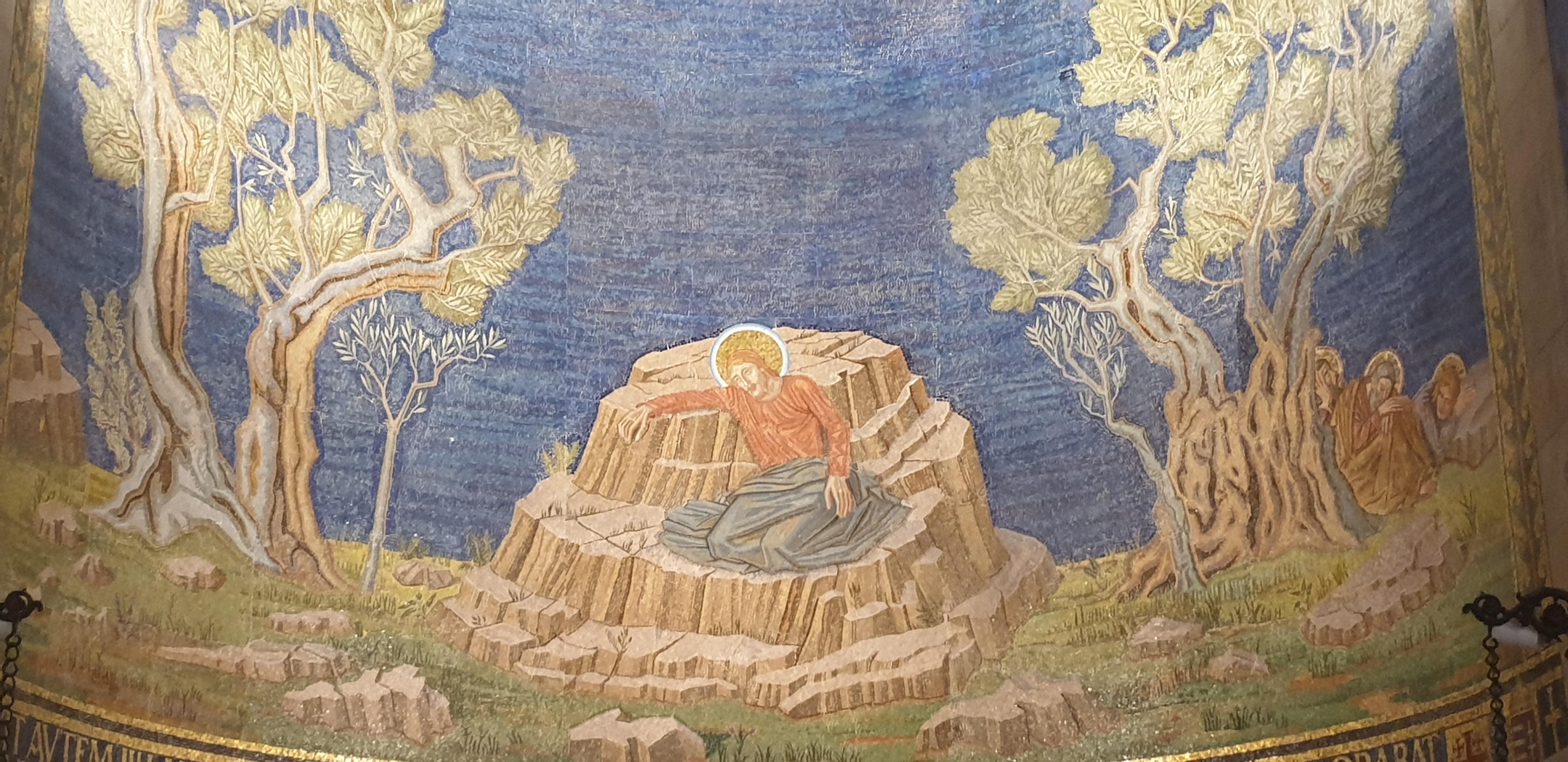 20190731_162844 (Copia di NXPowerLite).jpg